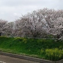 ブログ記事のイメージ画像